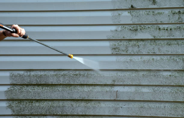 Best Commercial Mold Removal  in Summerde, AL