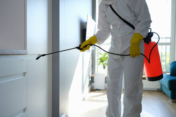 Certified Mold Removal in Summerdale, AL