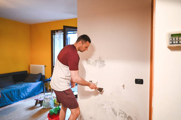 Best Certified Mold Removal  in Summerde, AL